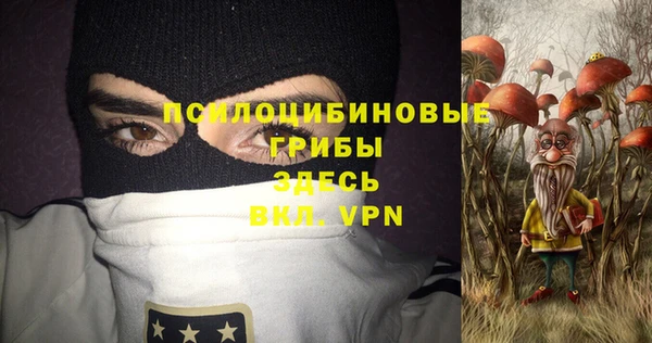 дурь Переславль-Залесский