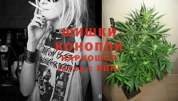 дурь Переславль-Залесский