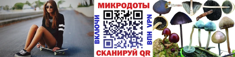 Купить закладки  Соль-Илецк  Псилоцибиновые грибы мухоморы 
